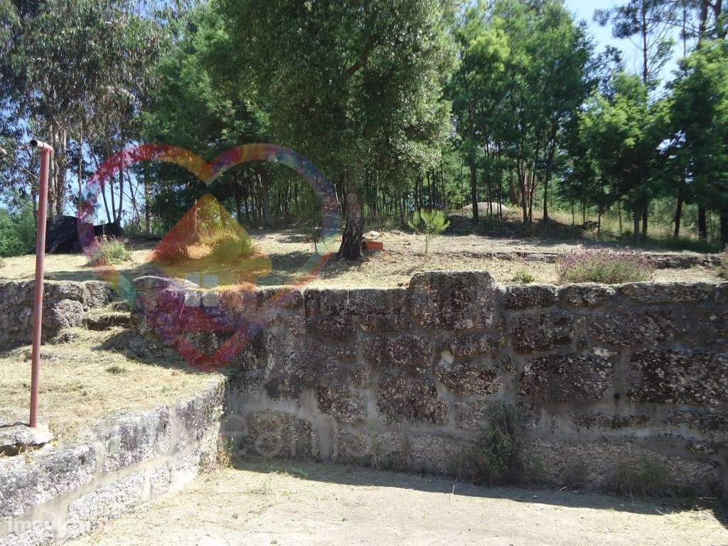 Quinta T6 em Santa Comba Dão - Viseu-51