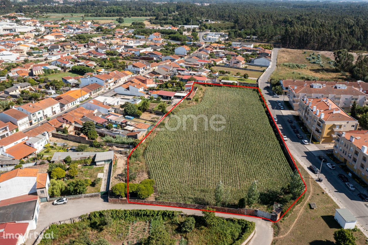 Terreno para Construção em Ovar – Oportunidade Única