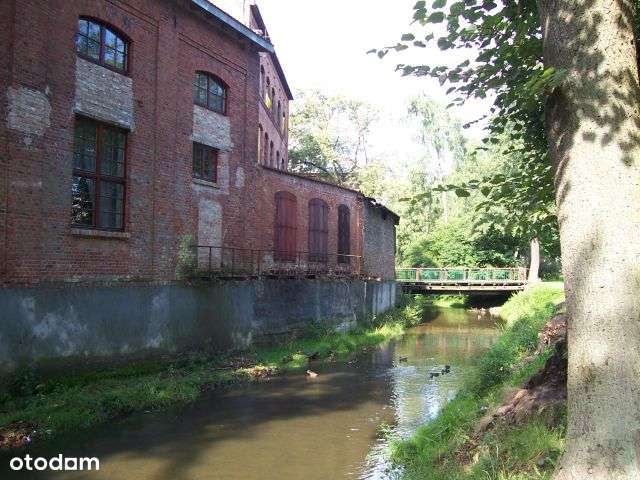 Oferta inwestycyjna!-7