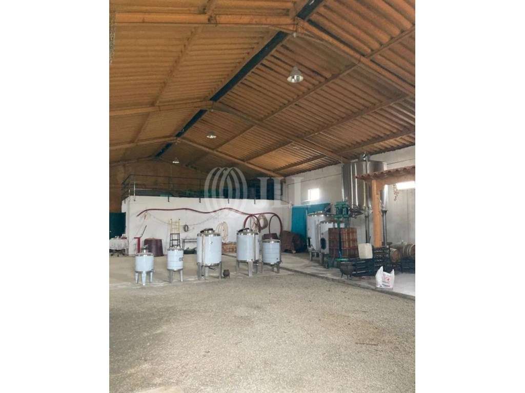 Quinta com 9 hectares, no Alto Douro Vinhateiro, Porto - Grande imagem: 5/22