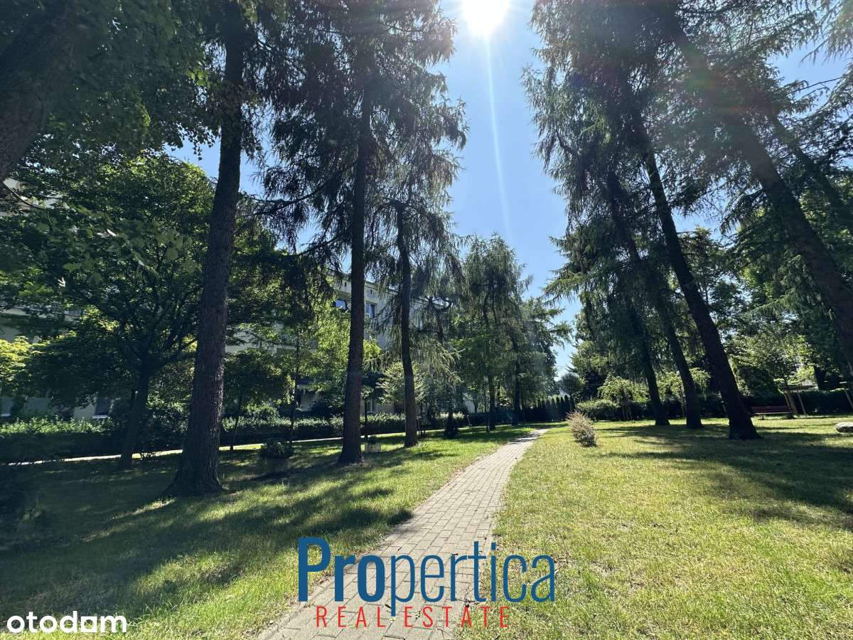 Ciche, słoneczne, metro Rondo Daszyńskiego. - Pełny obrazek: 2/13