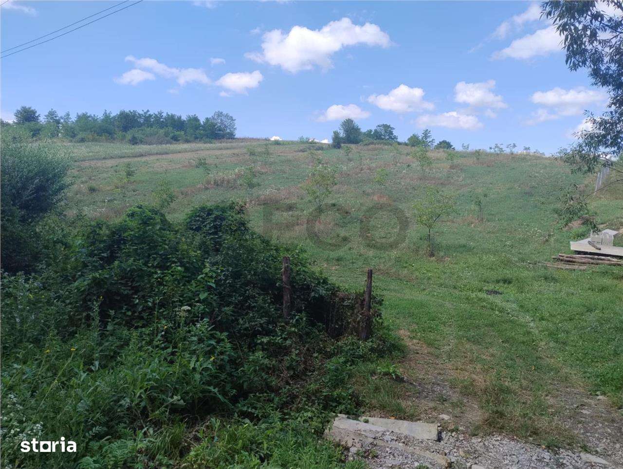 RECO Teren intravilan, Topesti - Imagine principală: 3/3