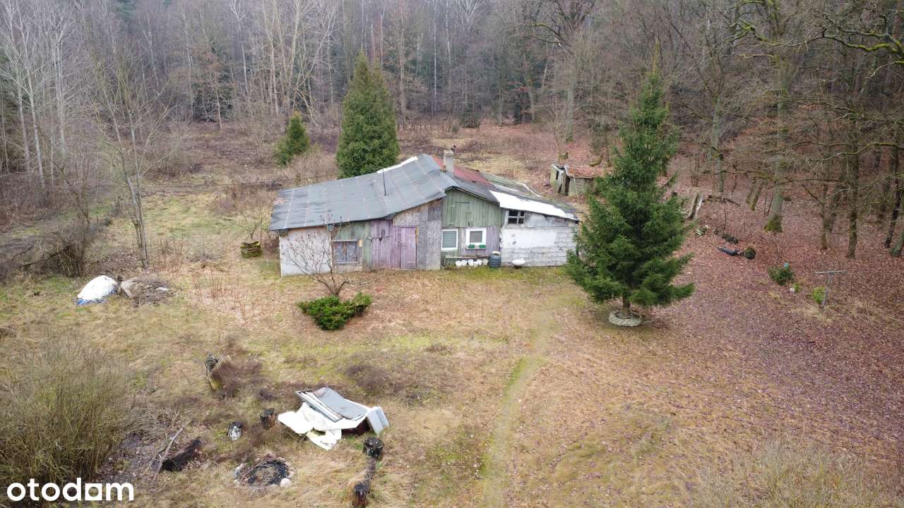 Działka 1,4 ha, GZIN, gmina Dąbrowa Chełmińska-8