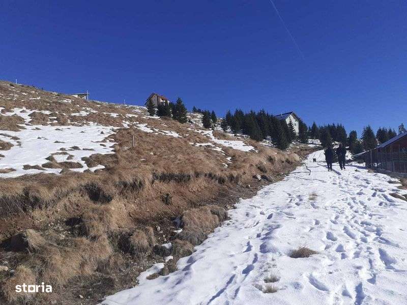 ICedez 1000 mp in Varful lui Roman,Horezu - Imagine principală: 5/7