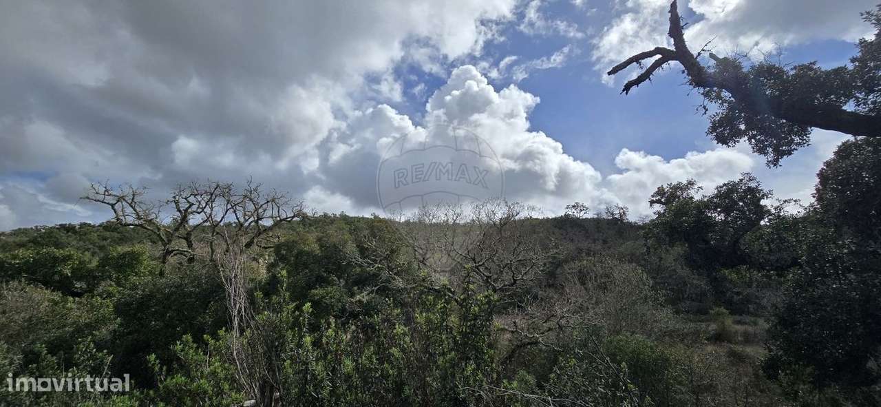 Terreno  para venda - Grande imagem: 4/38