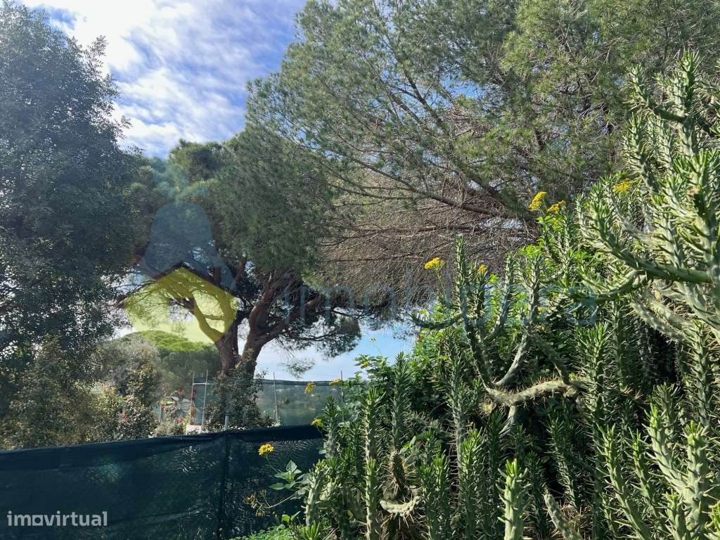 LOTE EXCLUSIVO PARA MORADIA DE SONHO COM PISCINA NA QUINTA DOS BARR... - Grande imagem: 2/11