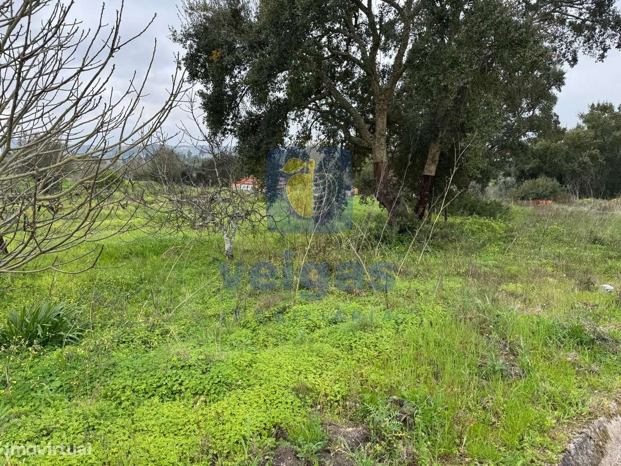 Moradia T6 com Vista Campo em Averangel, Castelo do Bode, Tomar-56