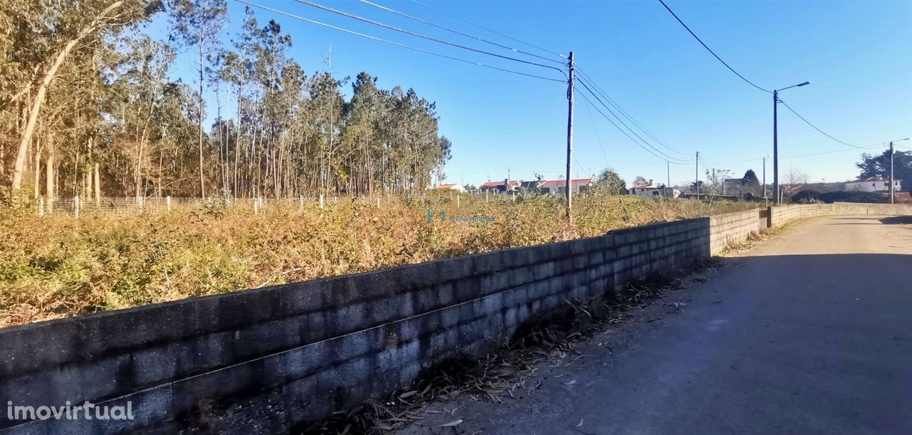 Terreno  Venda em Válega,Ovar