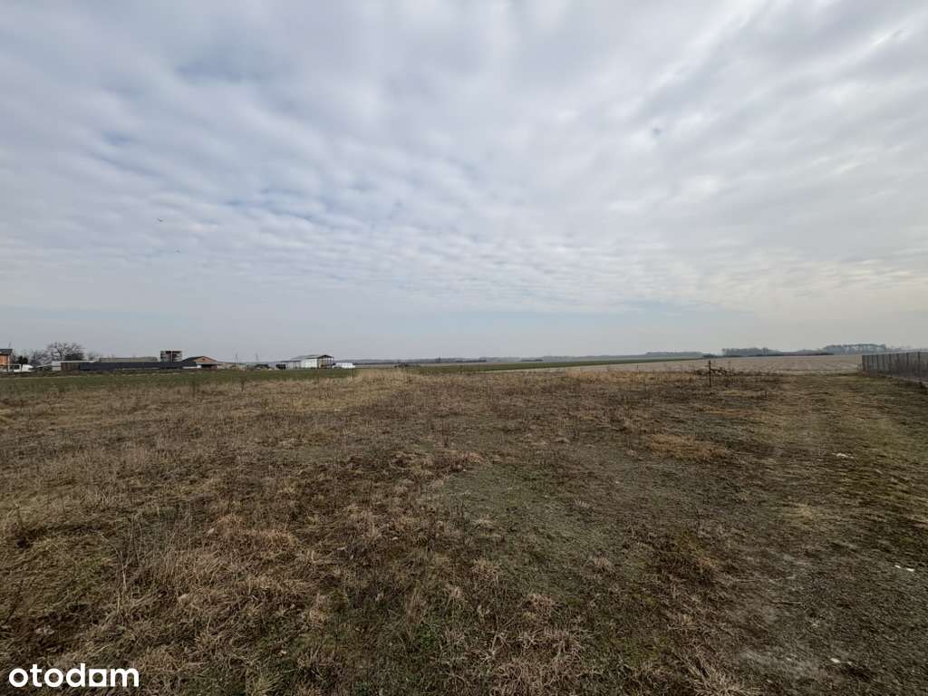 Działki rolne, Orłów, gm. Nowa Sucha - Pełny obrazek: 4/7