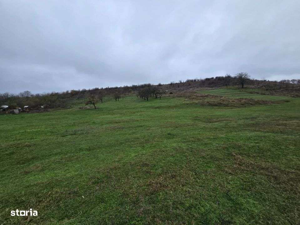 Teren  100.000 mp, Recea-Albota-0