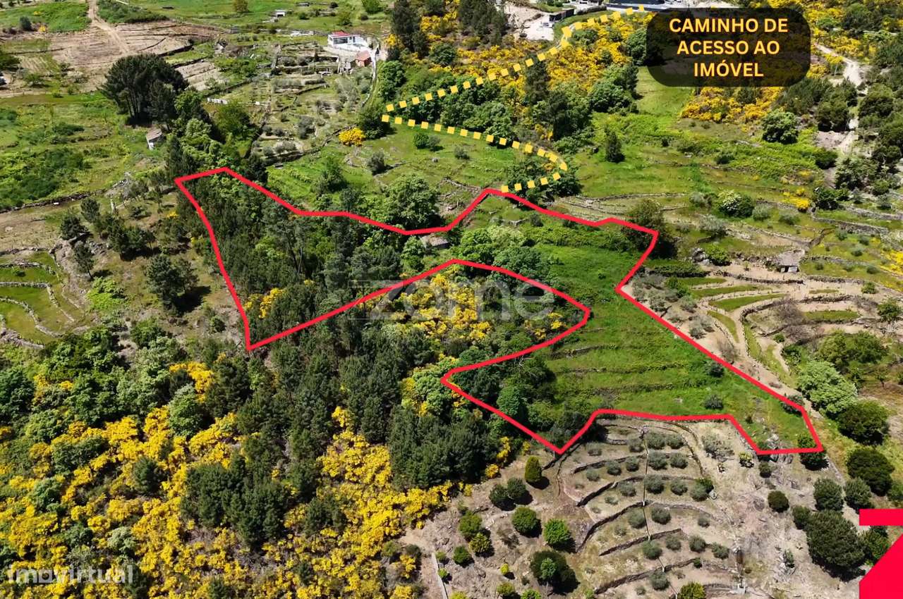 Casa c/ Terreno de 4437m2 em Santa Marta de Penaguião, Douro - Grande imagem: 5/35