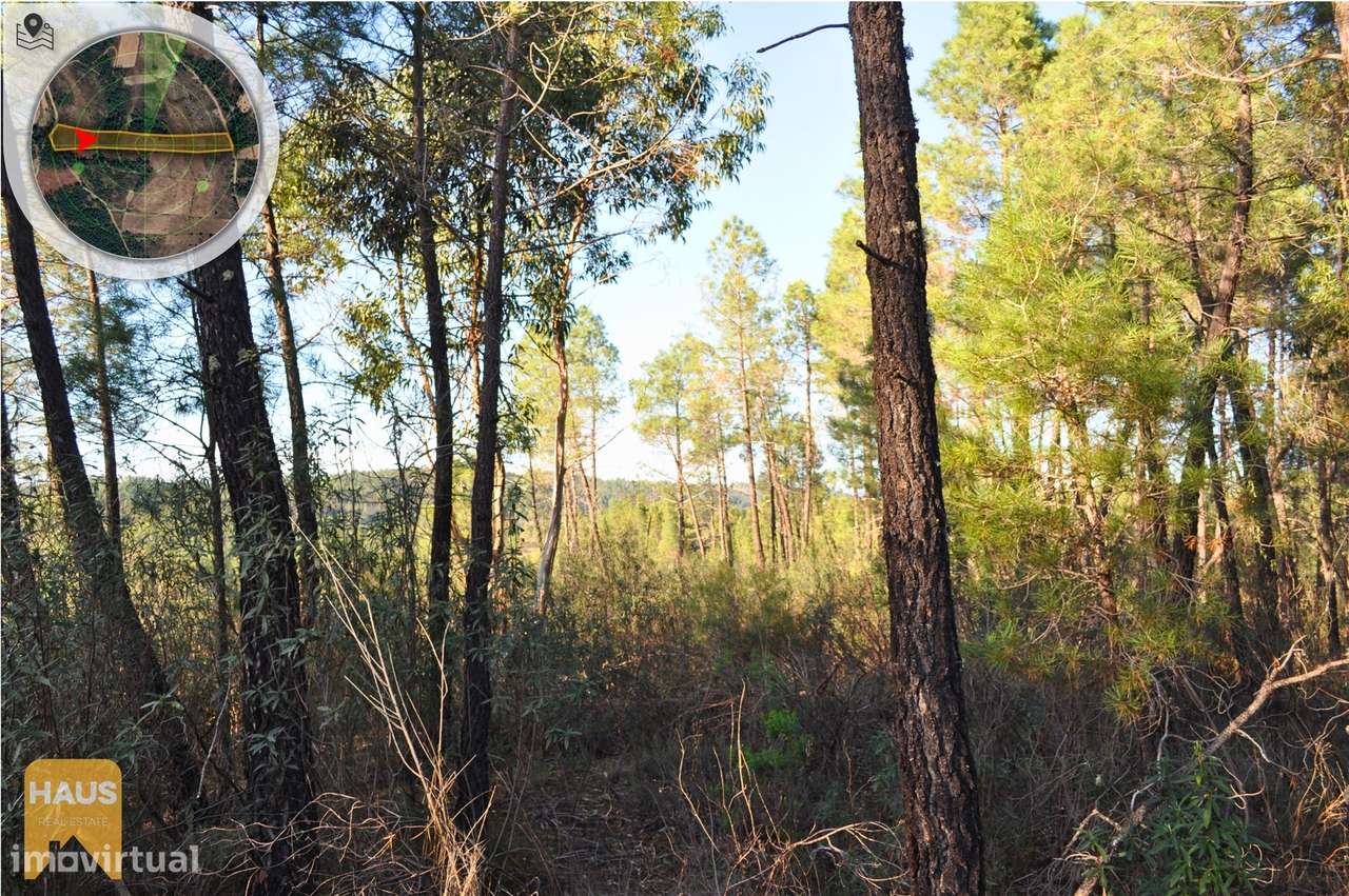 Terreno com 11.880 m² à venda em Castelo Branco. - Grande imagem: 5/26