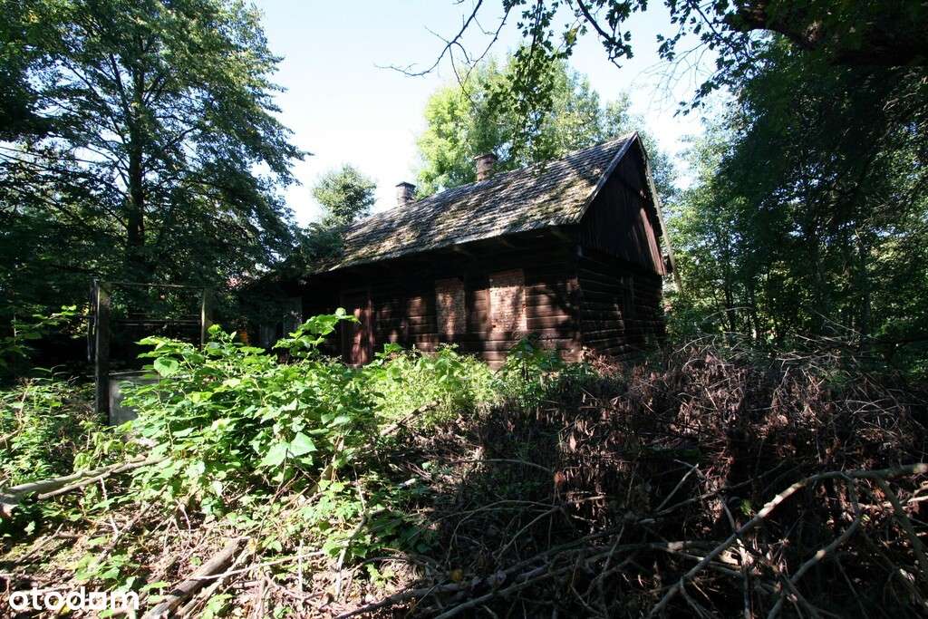 Niezbędna wyobraźnia, kasa i odrobina szaleństwa-8