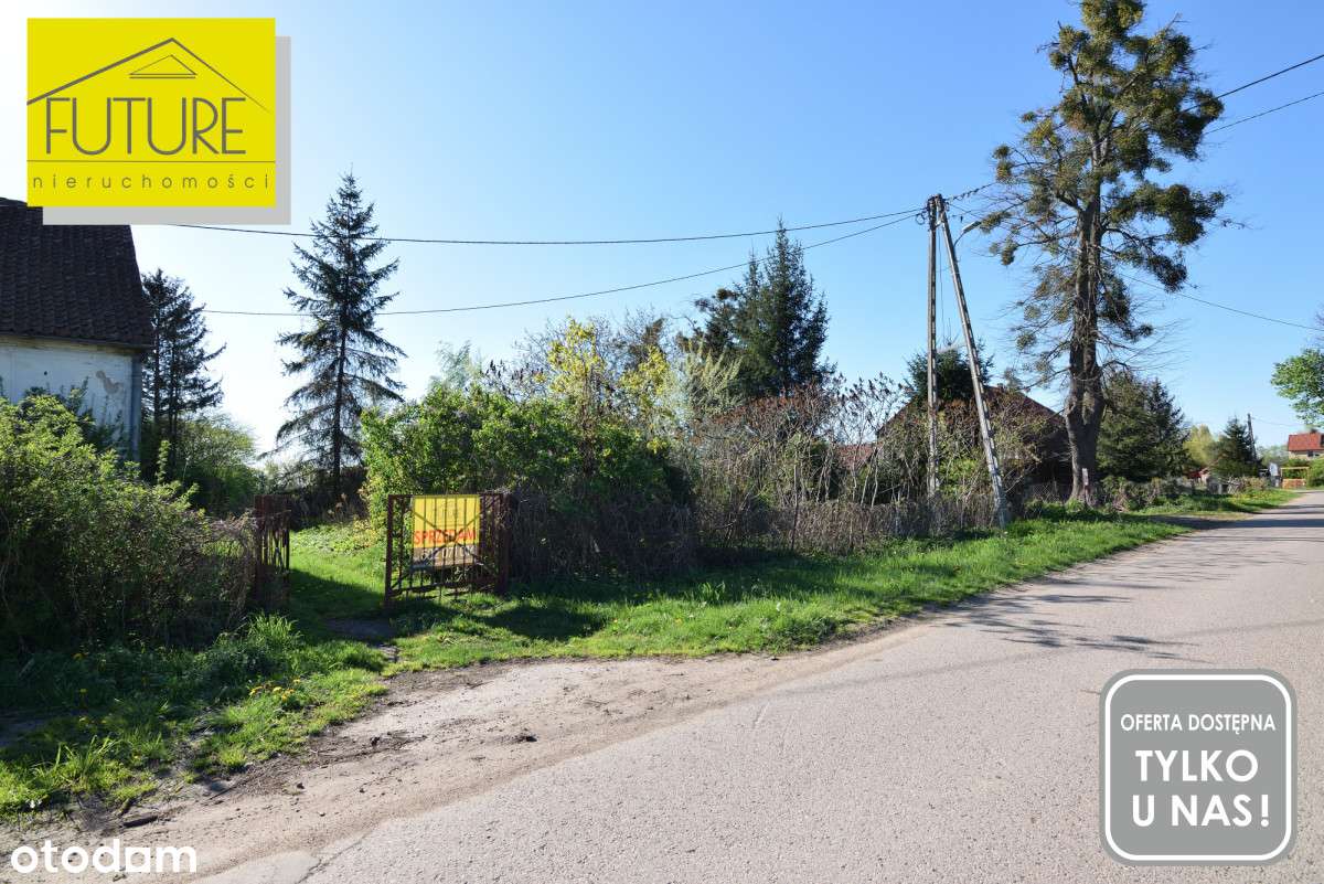 Pół domu w Drużnie - Pełny obrazek: 5/20