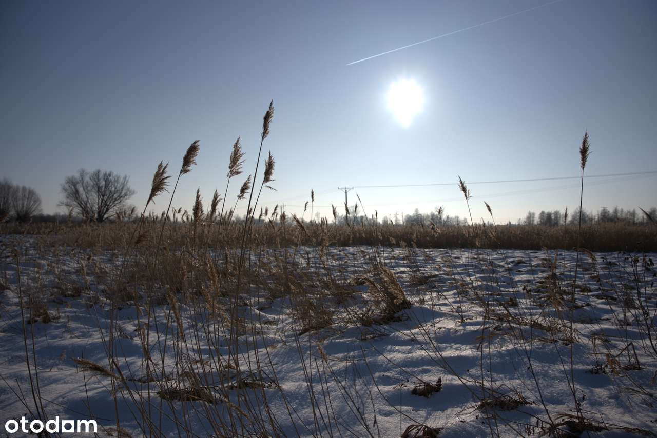 Działka 0,5399 ha - Jakuszowice, gm. Kazimierza Wielka, świętokrzyskie-6