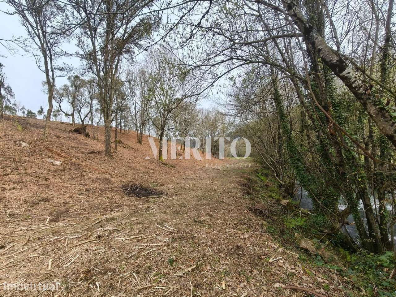 Terreno Agrícola com 10.760m2 em Cossourado frente ao Rio Neiva - Grande imagem: 5/17