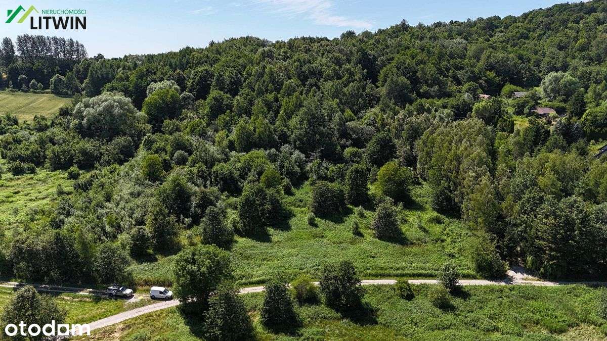 Działka rolna 90 arów w gm. Jodłowa - został złożony wniosek o WZ - Pełny obrazek: 5/6
