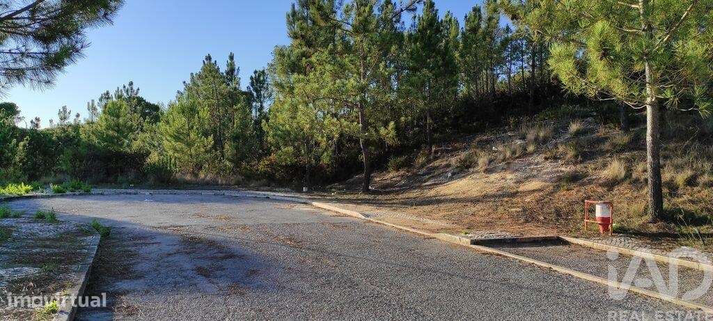 Terreno para construção em Sesimbra (Castelo) - Grande imagem: 5/15