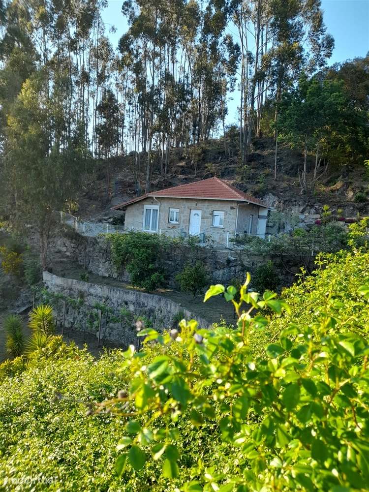 Herdade T3 Venda em Sousela,Lousada - Grande imagem: 4/31