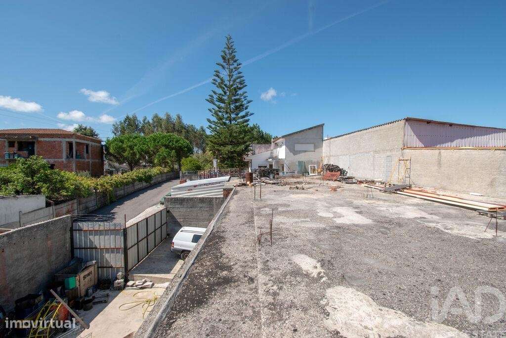 Terreno Agrícola em Marinha Grande - Grande imagem: 5/6