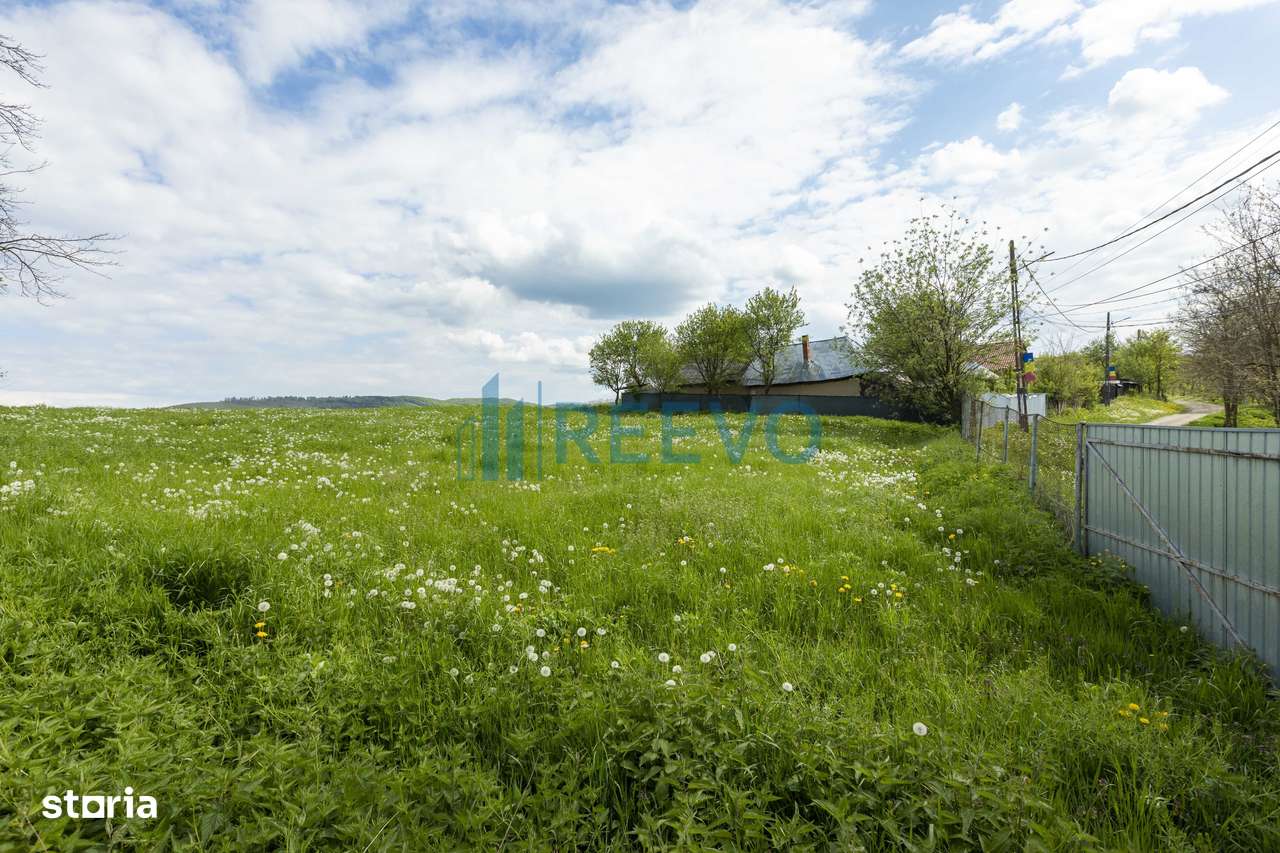 Teren intravilan Blăgești, Bacău - Imagine principală: 4/10