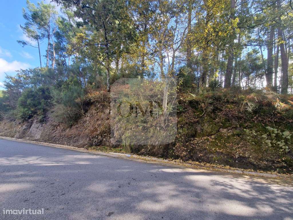 Terreno de 2.000 m2 em Adoufe, Vila Real - Grande imagem: 4/7