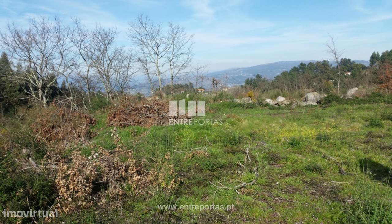 Venda Terreno, Vistas desafogadas, Manhuncelos, Marco de Canaveses - Grande imagem: 5/8