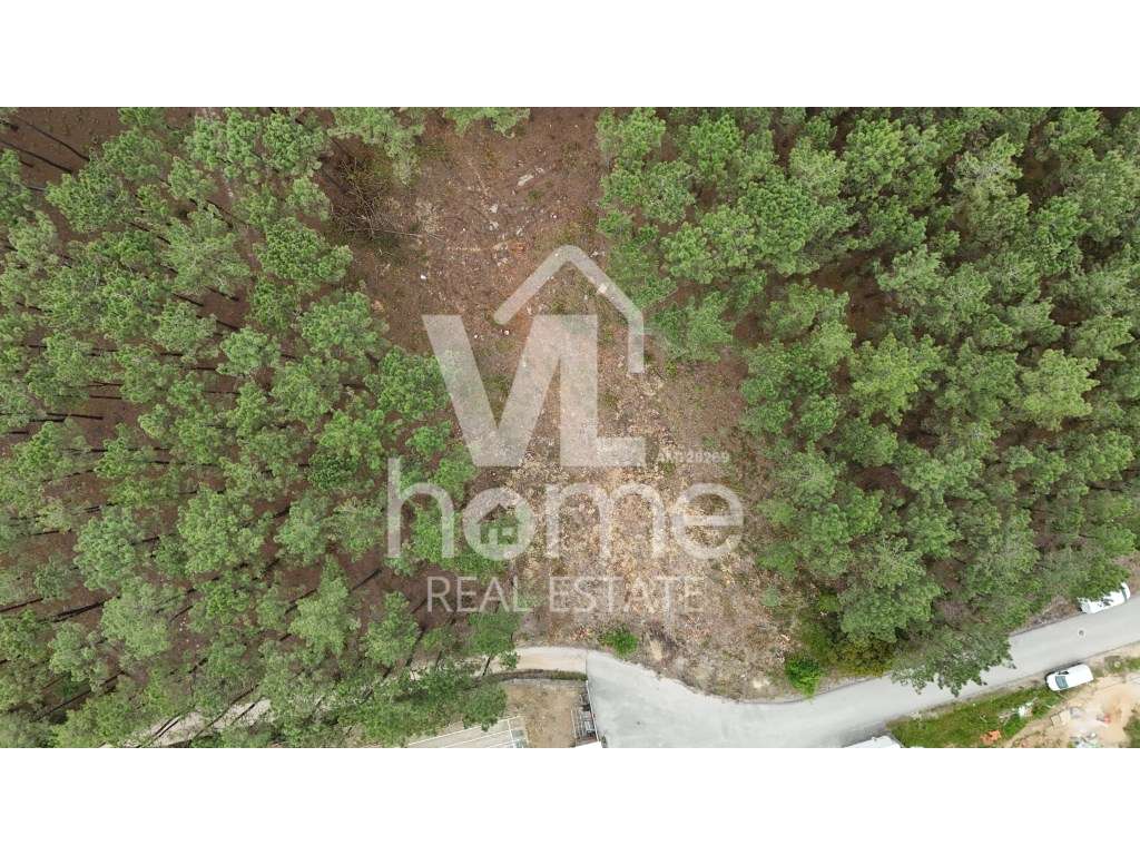 Terreno com Potencial para Moradias - Natureza e Conveniência de Mã...-9