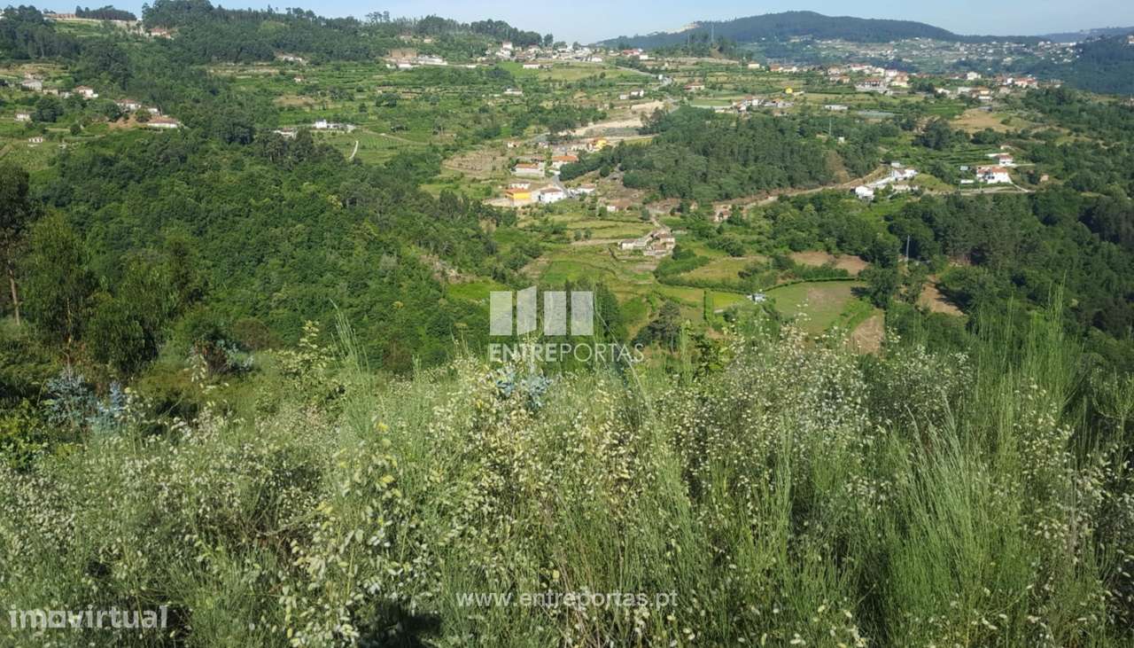 Venda de Terreno c/ 13700 m2, Tarouquela, Cinfães - Grande imagem: 5/32