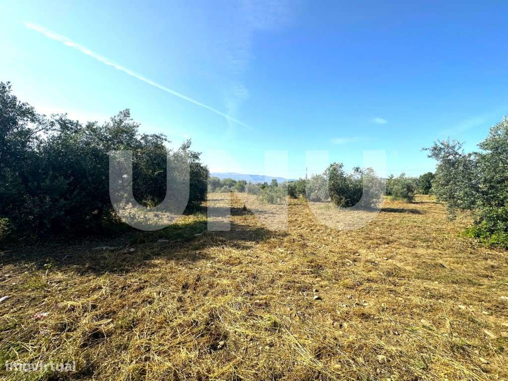 Terreno Rústico com 6.800m2 para venda no Fundão - Grande imagem: 2/13