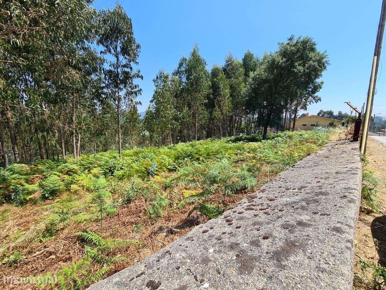 Terreno para construção em Nogueira do Cravo-6