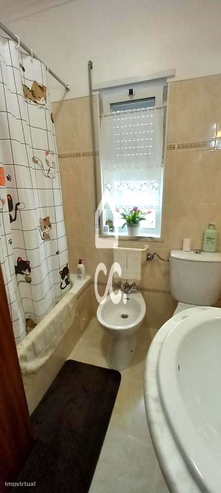 T4 na zona do Hospital-23