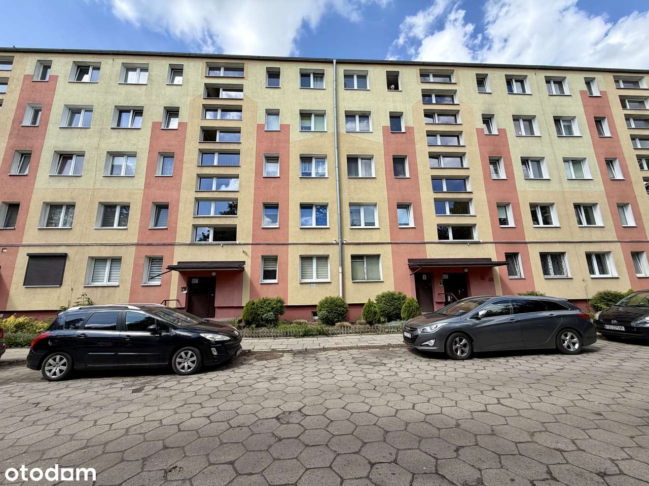 2 pokoje na al Politechniki wynajem
