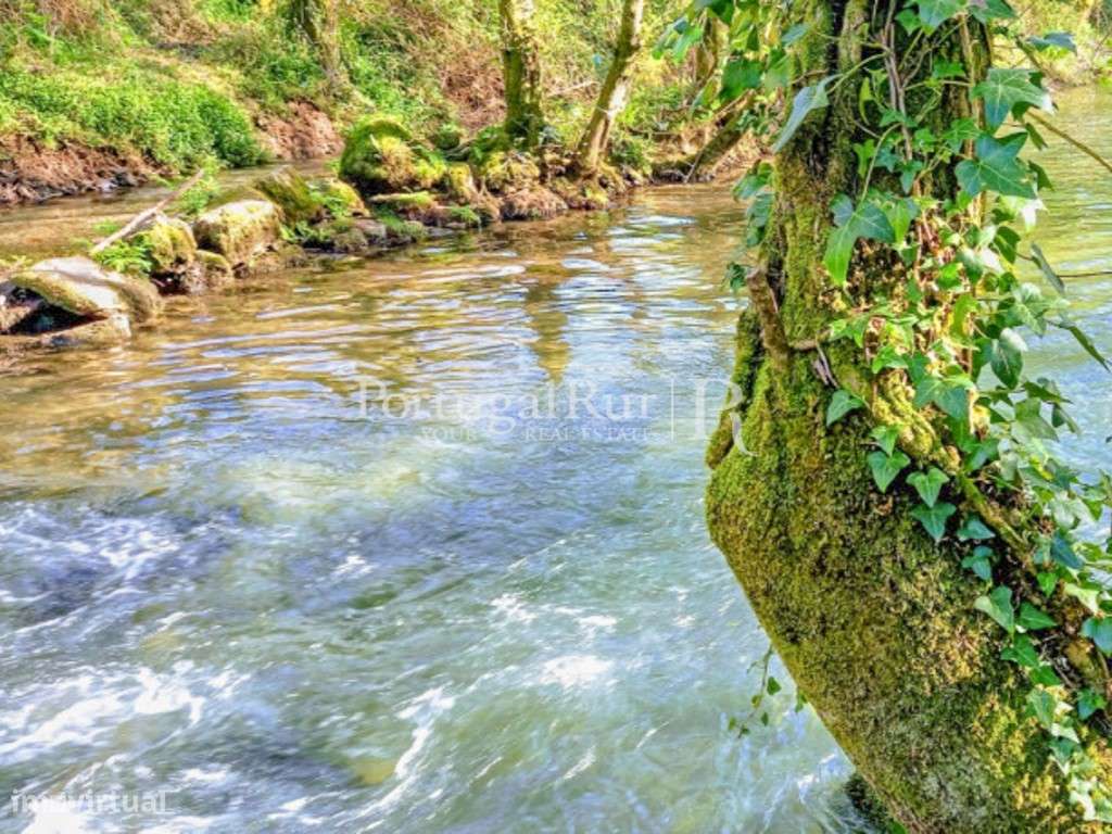 Quinta Rural 8.000 m2 - 2 Casas Habitáveis - confina com Ribeira-28