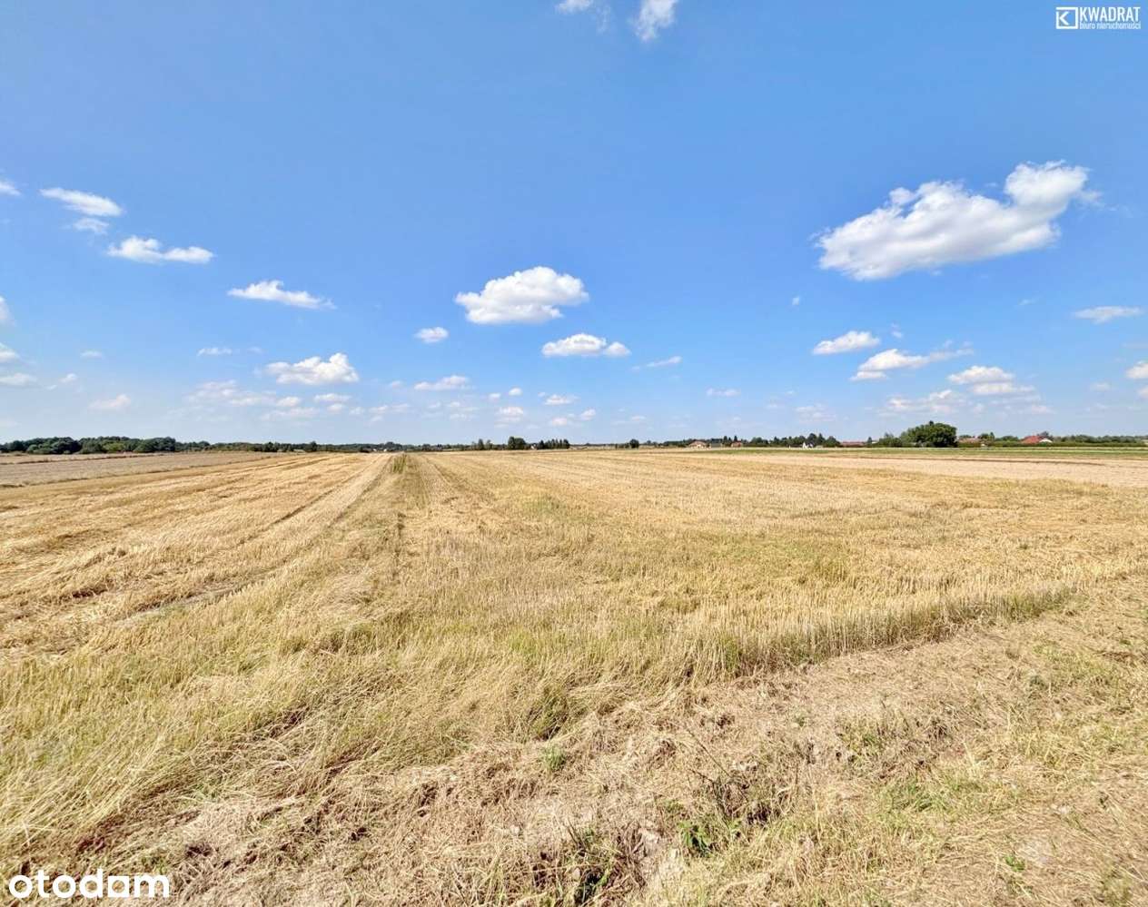 Radawiec mały - działka 27 ar - Pełny obrazek: 5/6