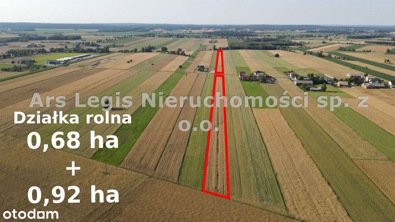 Działka, 16 000 m², Bratuszyn - Pełny obrazek: 4/6