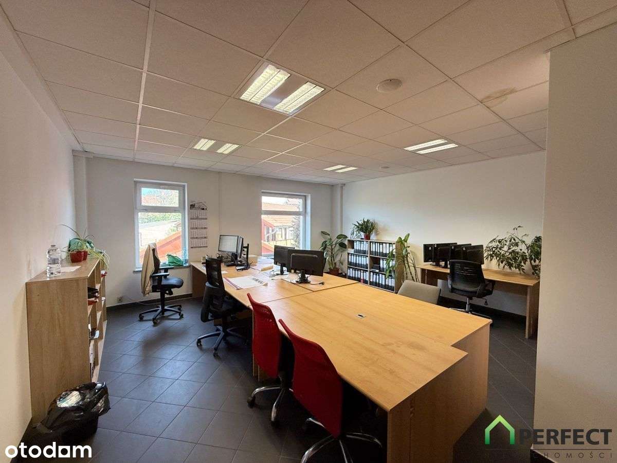 Duży lokal w Cieplicach - Pełny obrazek: 5/9