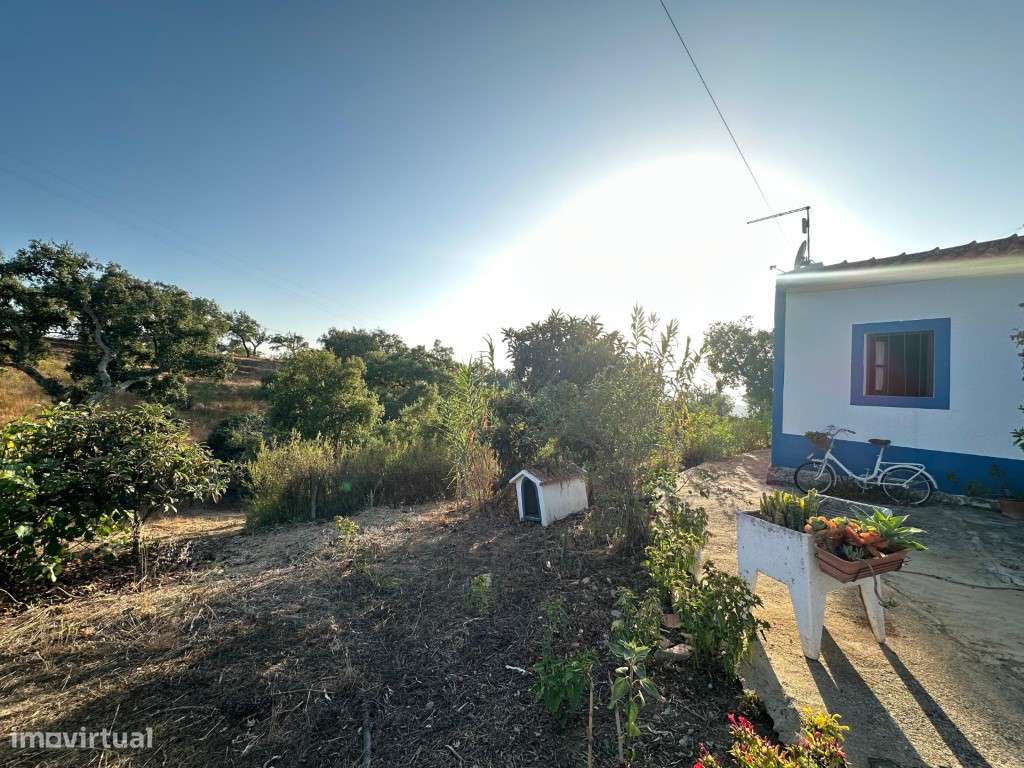 Monte Alentejano com 3,4 ha de natureza e potencial turístico-6