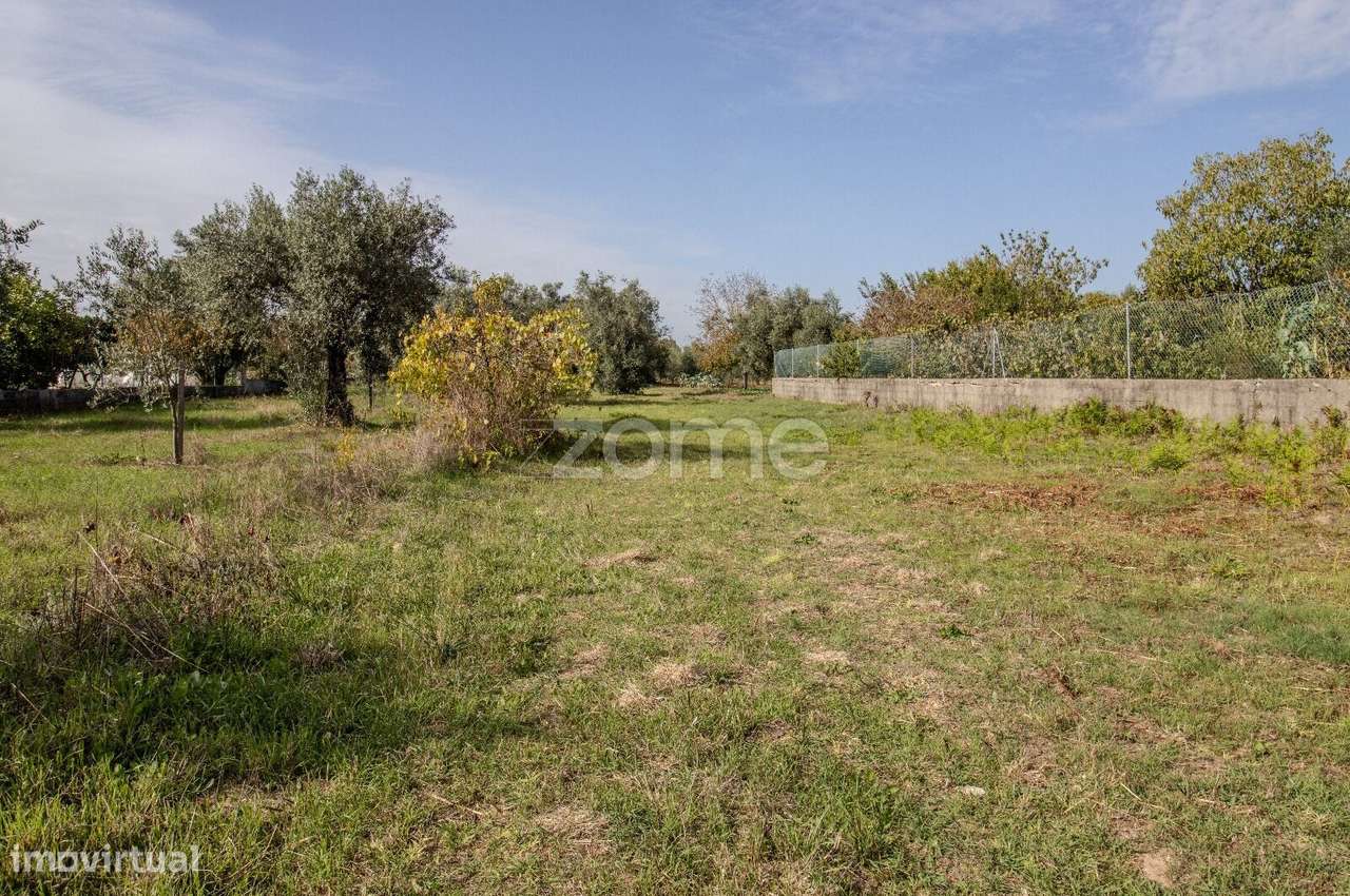 Terreno com 1110 m2 em Fornos de Cadima - Grande imagem: 5/34