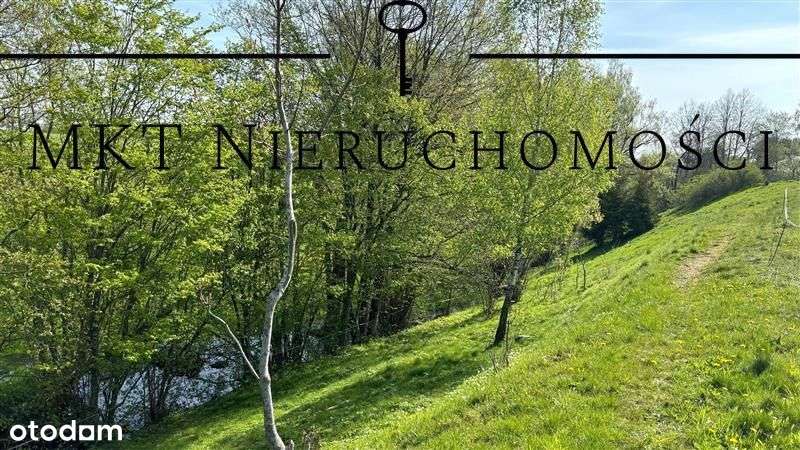 Działka - Jeleńska Huta - Pełny obrazek: 5/19