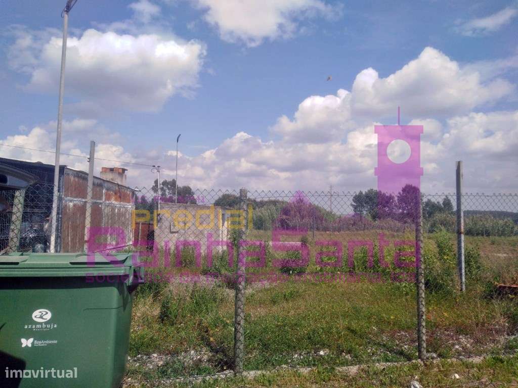 Terreno rústico - Alcoentre ( Lisboa) - Grande imagem: 3/3