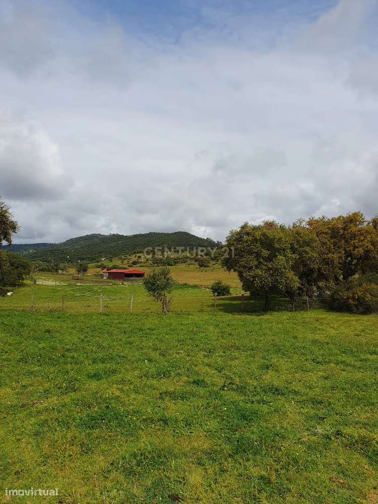 Terreno Urbano na Serra D`Ossa Redondo - Grande imagem: 5/18