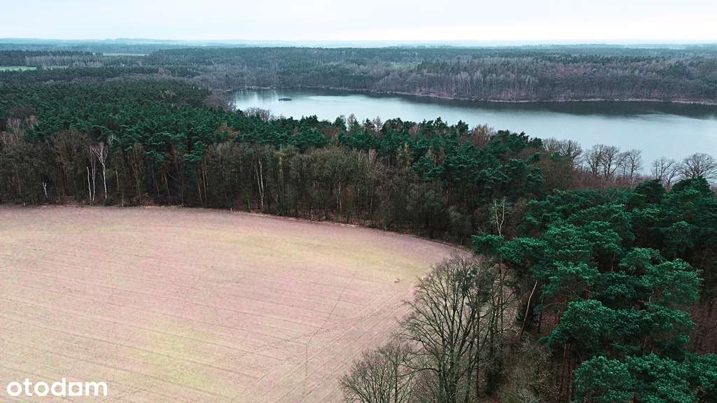 Twoja enklawa wśród lasu i jezior-9