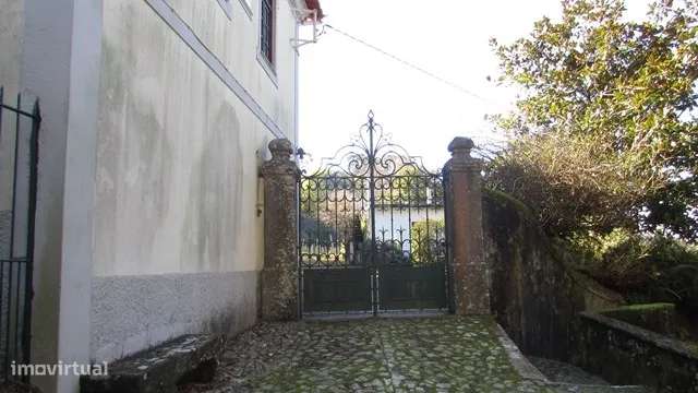 QUINTA EM SEIXAS COM 40.000 M2 - Grande imagem: 3/19