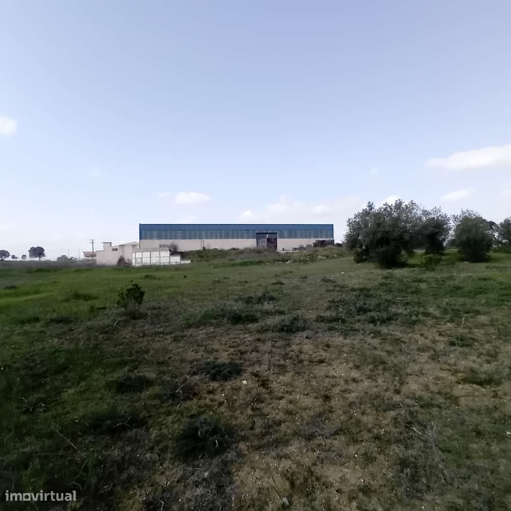 ARMAZÉM INDUSTRIAL | 5.300 m² | MOITAS - PERNES – SANTARÉM - Grande imagem: 3/18