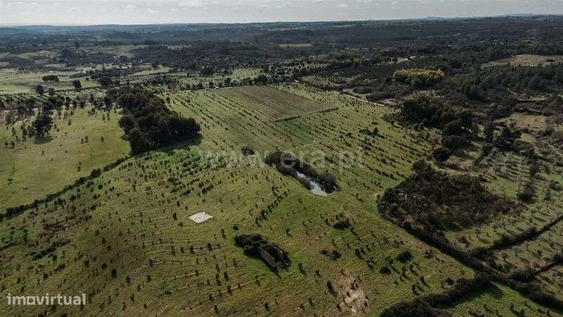 Quinta / Fundão, Atalaia do Campo - Grande imagem: 4/20