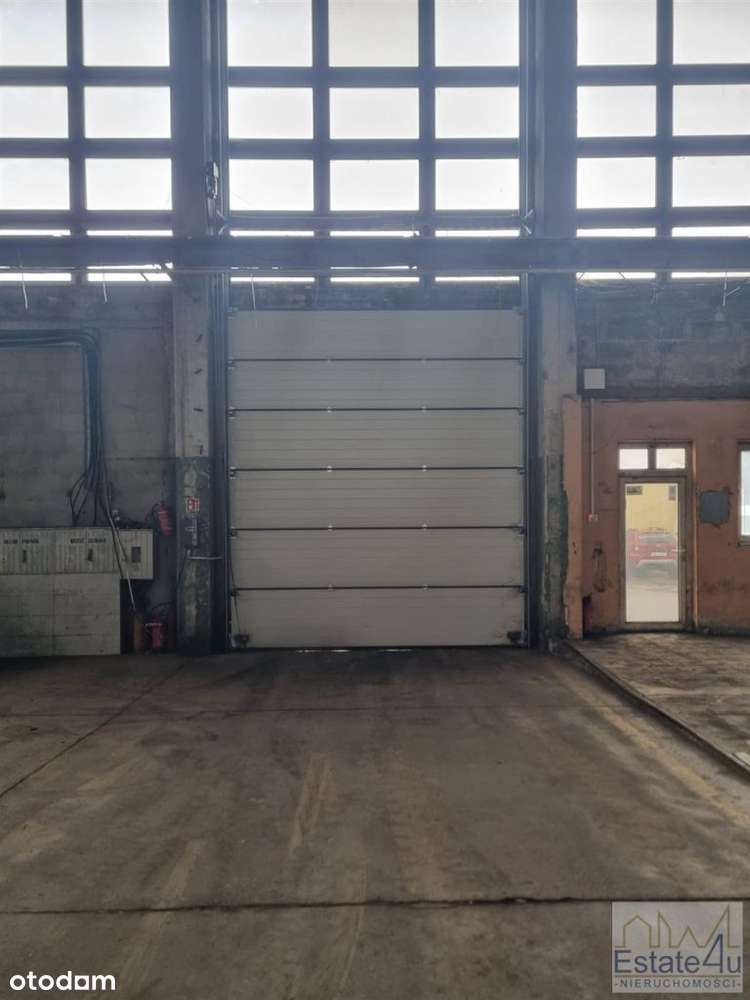 Hala magazynowo-produkcyjna 900m na Rozdzieńskiego - Pełny obrazek: 3/6