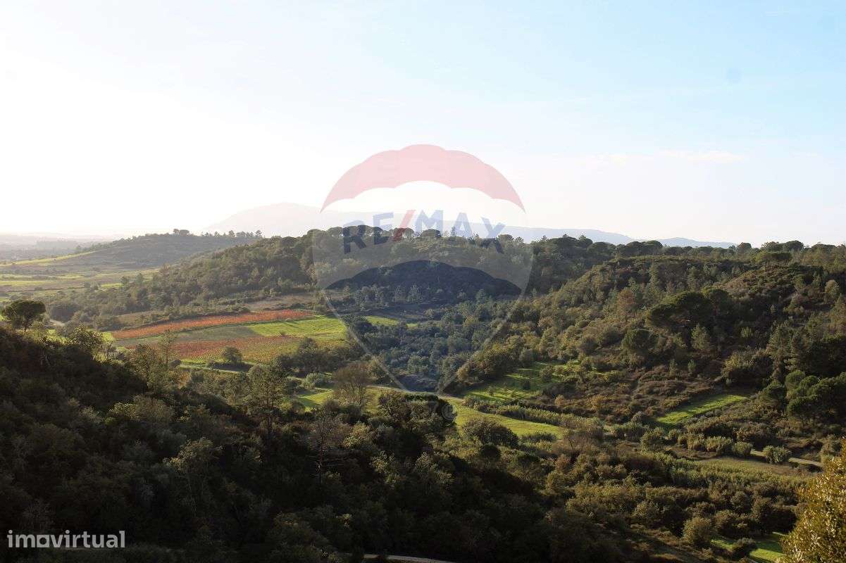 Terreno  para venda - Grande imagem: 4/4