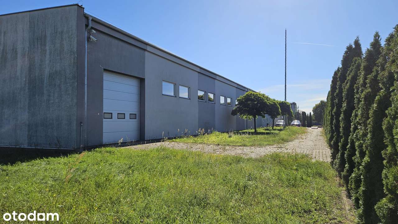 Hala na wynajem 1000 m² – Grudziądz, ul. Składowa, blisko A1! - Pełny obrazek: 2/10