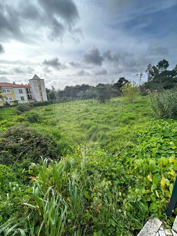 Terreno  para venda